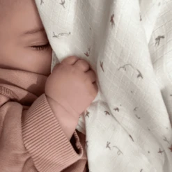 Aden + Anais™ Essential S Zijdezachte Puckdoek 2-pack Healing Nature 120 X 120 C -MiniMoois aden anais essential s zijdezachte puckdoek 2 pack healing nature 120 x 120 c a383655 4