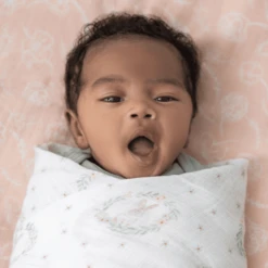 Aden +anais™ Musslin Puck Cloth 4-Pack Blusching Bunnies 112 X 112 -MiniMoois aden anais musslin puck cloth 4 pack blusching bunnies 112 x 112 a410134 3