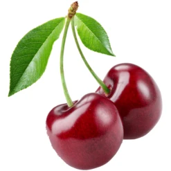 BabyJem Kersenpit Verwarmingsgordel Wit 11 BabyJem Kersenpit Verwarmingsgordel Wit -MiniMoois babyjem kersenpit verwarmingsgordel wit a281660 4