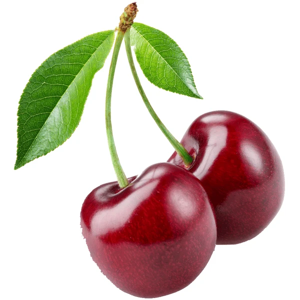 BabyJem Kersenpit Verwarmingsgordel Wit 7 BabyJem Kersenpit Verwarmingsgordel Wit - Afbeelding 5