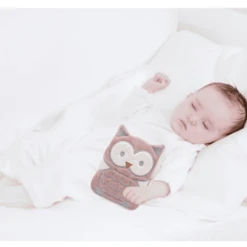 BabyJem Kersenpitkussen Uil, Roze -MiniMoois babyjem kersenpitkussen uil roze a373742 1