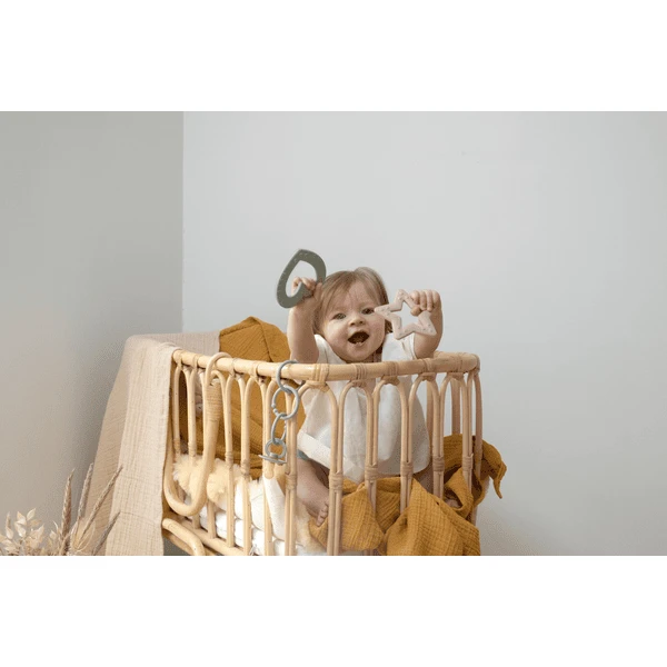 BIBS® Bijtring Baby Bitie Heart Vanaf 3 Maanden In Salie 4 BIBS® Bijtring Baby Bitie Heart Vanaf 3 Maanden In Salie - Afbeelding 2