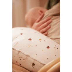 FILIBABBA Kastanjes Verpleegkussen -MiniMoois filibabba kastanjes verpleegkussen a410983 2