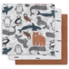 Jollein Gaasluiers 3-pack Polar 70x70cm 1 Jollein Gaasluiers 3-pack Polar 70x70cm -MiniMoois jollein gaasluiers 3 pack polar 70x70cm a300230