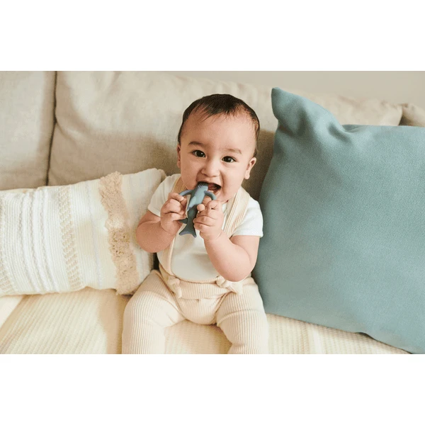 Matchstick Monkey Bijtring Shreddy Haai 4 Matchstick Monkey Bijtring Shreddy Haai - Afbeelding 2