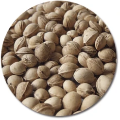 THERALINE Kersenpittenkussen 23 X 26 Cm Gestipt Lila -MiniMoois theraline kersenpittenkussen 23 x 26 cm gestipt lila a272491 2